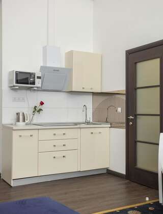 Апартаменты Sumskaya Apartment Lux Харьков Апартаменты с 1 спальней-2